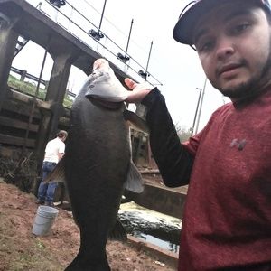 Meet your Posher, Ricky